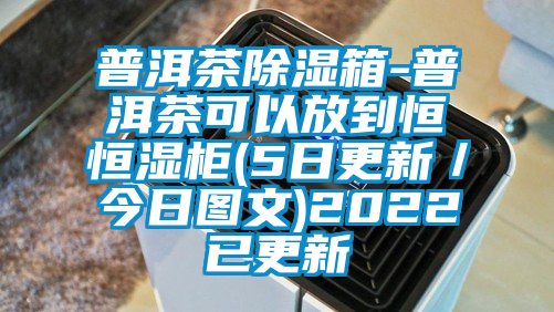普洱茶除濕箱-普洱茶可以放到恒恒濕柜(5日更新/今日?qǐng)D文)2022已更新
