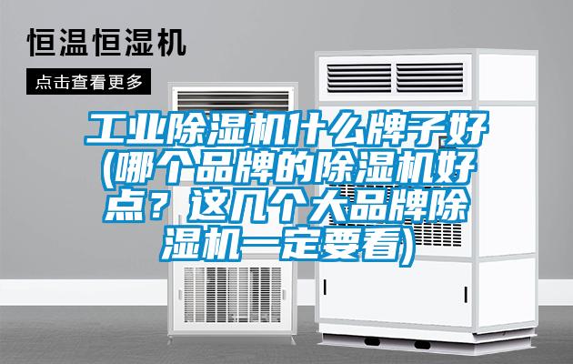 工業除濕機什么牌子好(哪個品牌的除濕機好點?這幾個大品牌除濕機一定要看)