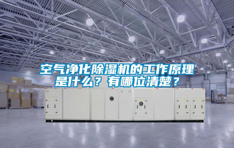 空氣凈化除濕機的工作原理是什么?有哪位清楚?