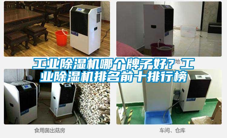 工業(yè)除濕機哪個牌子好?工業(yè)除濕機排名前十排行榜