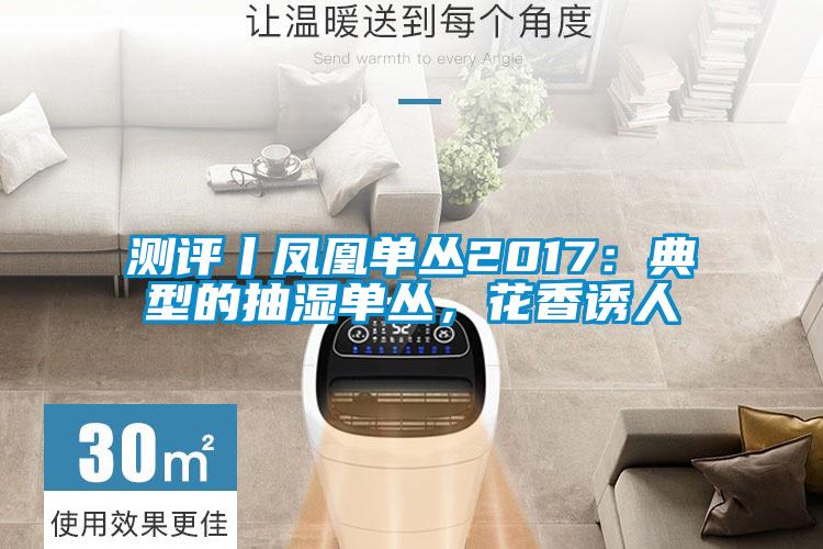 測評丨鳳凰單叢2017：典型的抽濕單叢，花香誘人