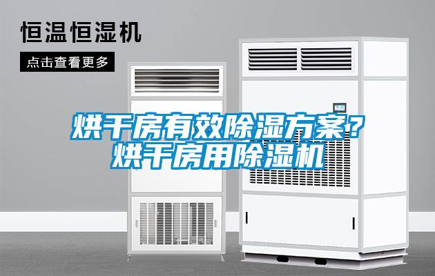 烘干房有效除濕方案？烘干房用除濕機