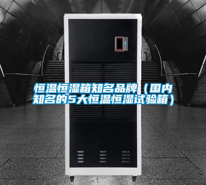 恒溫恒濕箱知名品牌(國(guó)內(nèi)知名的5大恒溫恒濕試驗(yàn)箱)