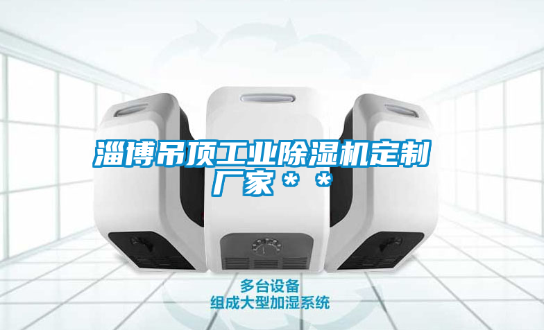 淄博吊頂工業(yè)除濕機定制 廠家**