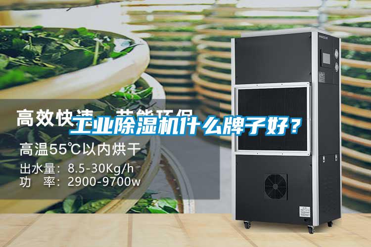 工業(yè)除濕機(jī)什么牌子好？