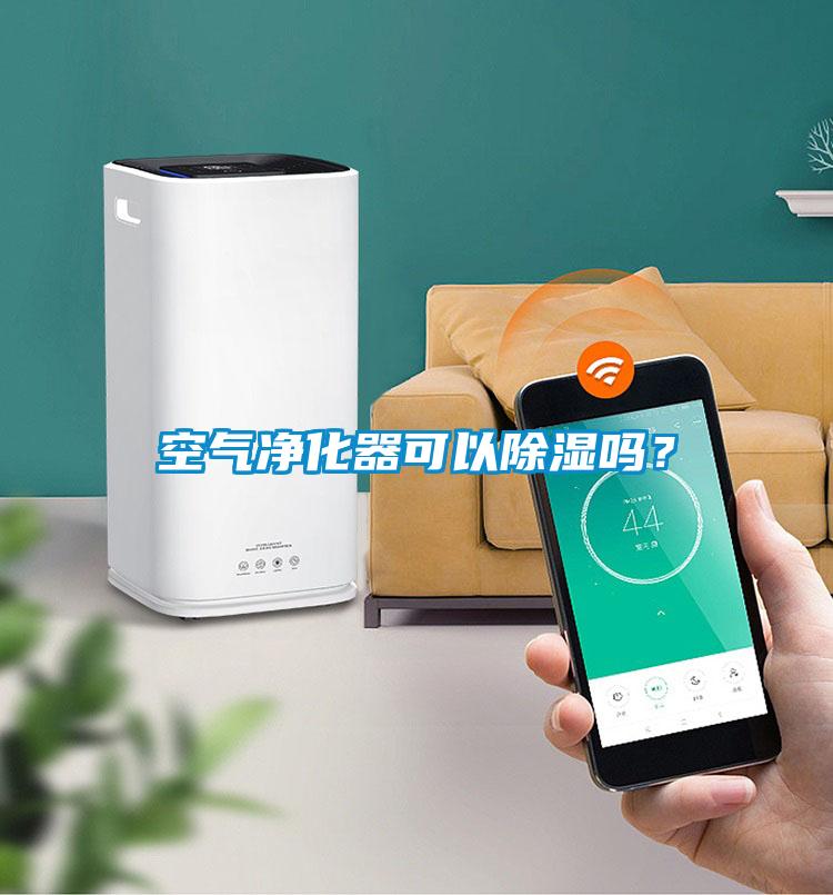 空氣凈化器可以除濕嗎?