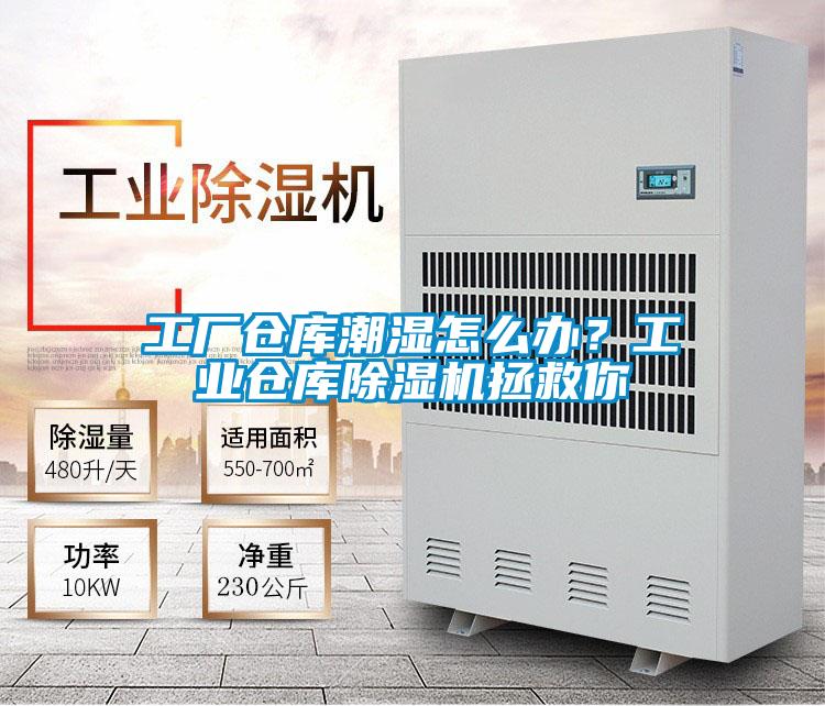 工廠倉庫潮濕怎么辦？工業(yè)倉庫除濕機(jī)拯救你