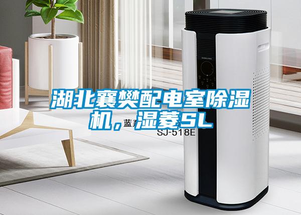 湖北襄樊配電室除濕機,濕菱SL