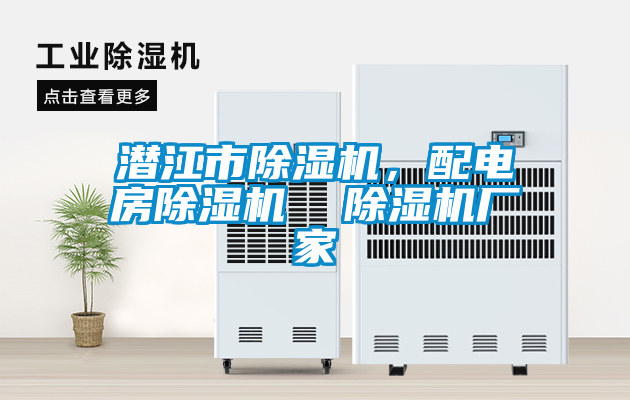 潛江市除濕機(jī)，配電房除濕機(jī)  除濕機(jī)廠家