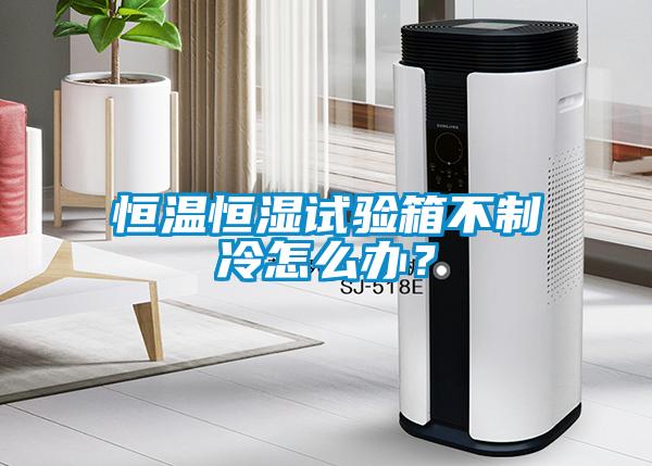 恒溫恒濕試驗箱不制冷怎么辦?