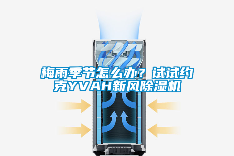 梅雨季節怎么辦?試試約克YVAH新風除濕機