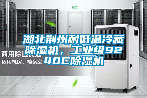 湖北荊州耐低溫冷藏除濕機(jī),工業(yè)級(jí)9240C除濕機(jī)