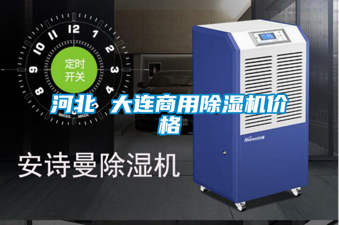 河北 大連商用除濕機(jī)價格
