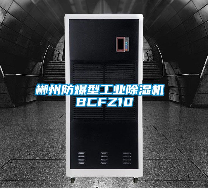 郴州防爆型工業(yè)除濕機 BCFZ10