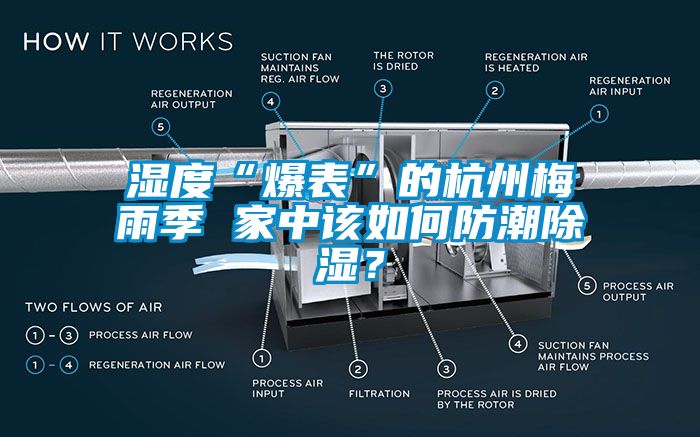 濕度“爆表”的杭州梅雨季 家中該如何防潮除濕？