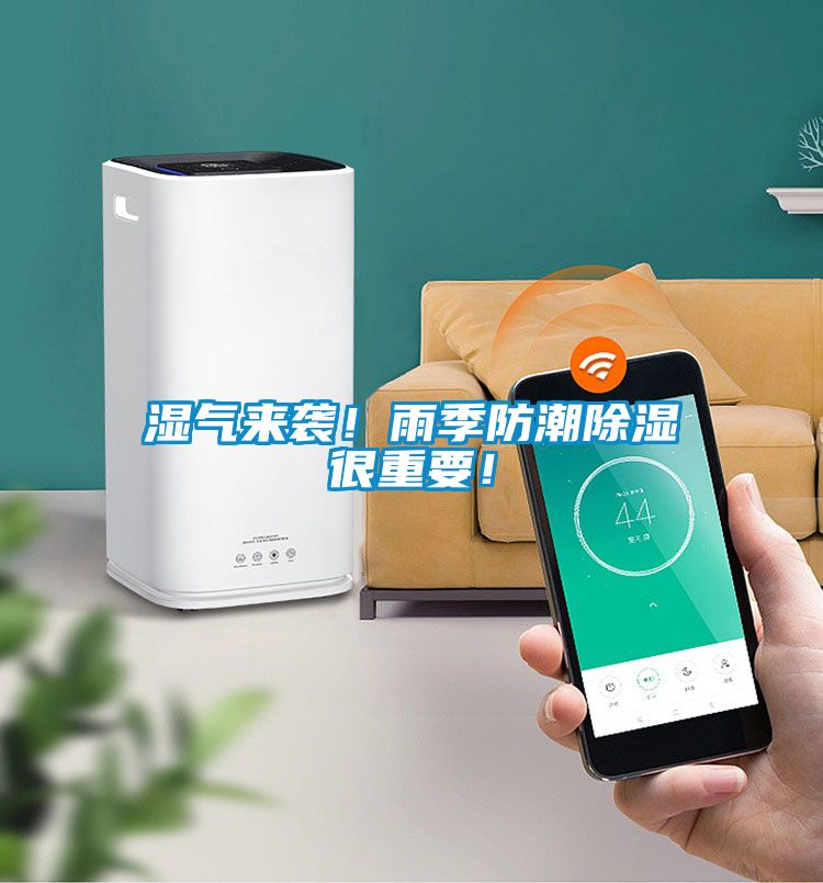 濕氣來襲！雨季防潮除濕很重要！