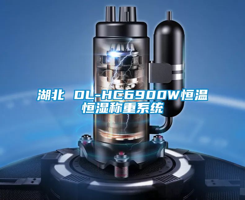 湖北 DL-HC6900W恒溫恒濕稱(chēng)重系統(tǒng)