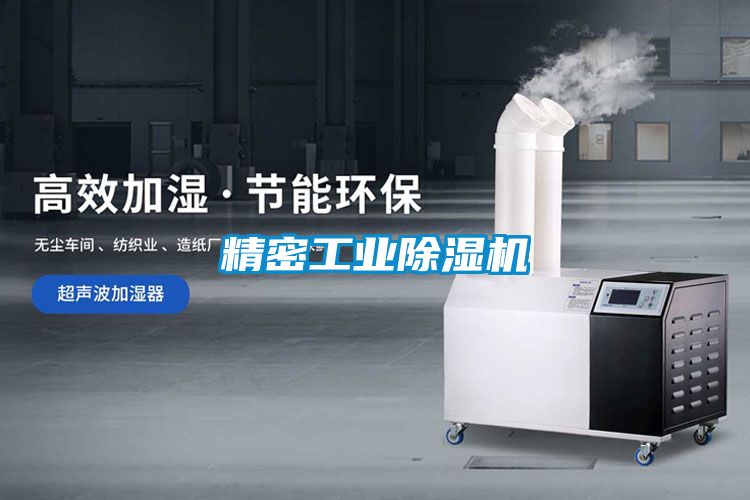精密工業(yè)除濕機