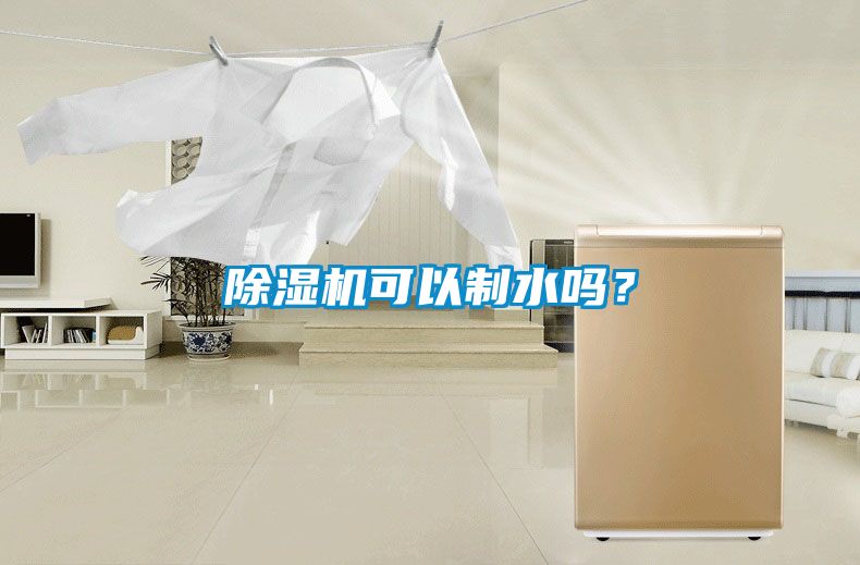 除濕機(jī)可以制水嗎?