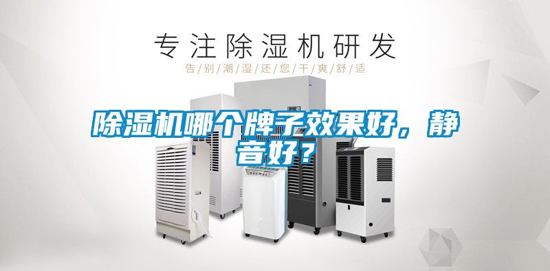 除濕機(jī)哪個(gè)牌子效果好,靜音好?