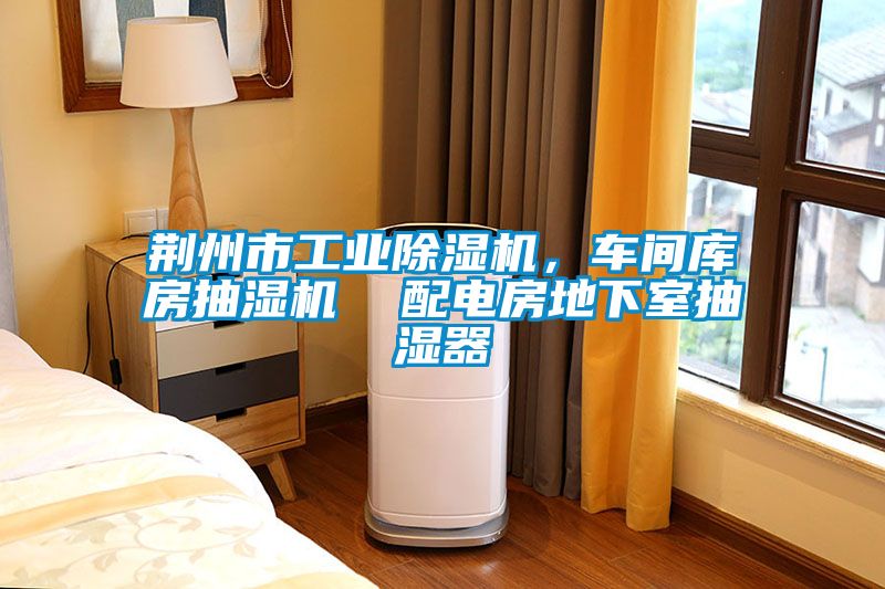 荊州市工業(yè)除濕機(jī)，車間庫(kù)房抽濕機(jī)  配電房地下室抽濕器