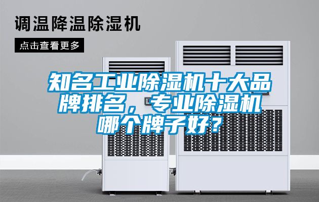 知名工業除濕機十大品牌排名，專業除濕機哪個牌子好？