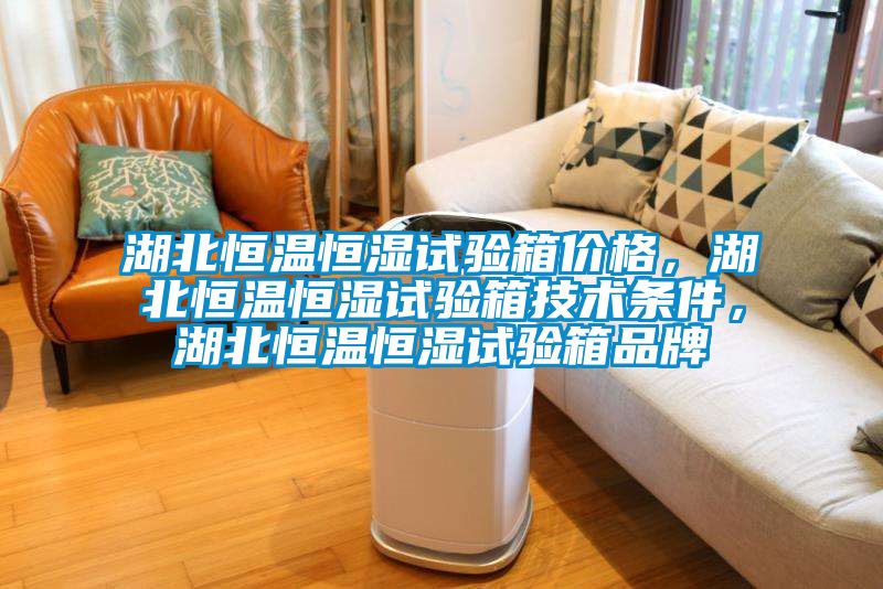 湖北恒溫恒濕試驗箱價格,湖北恒溫恒濕試驗箱技術條件,湖北恒溫恒濕試驗箱品牌