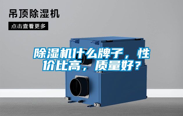 除濕機(jī)什么牌子，性?xún)r(jià)比高，質(zhì)量好？