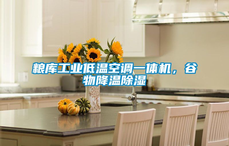 糧庫工業(yè)低溫空調一體機，谷物降溫除濕