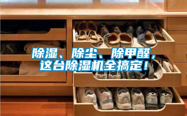 除濕、除塵、除甲醛，這臺除濕機全搞定！