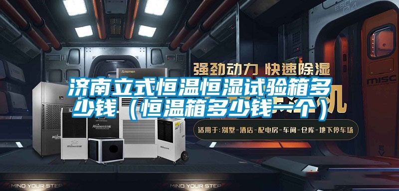 濟(jì)南立式恒溫恒濕試驗(yàn)箱多少錢(qián)(恒溫箱多少錢(qián)一個(gè))