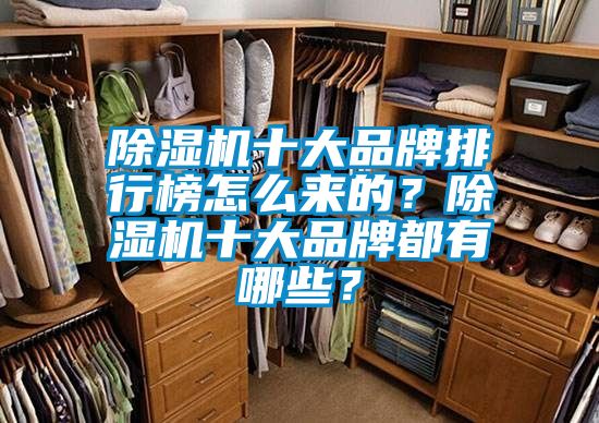 除濕機(jī)十大品牌排行榜怎么來的？除濕機(jī)十大品牌都有哪些？