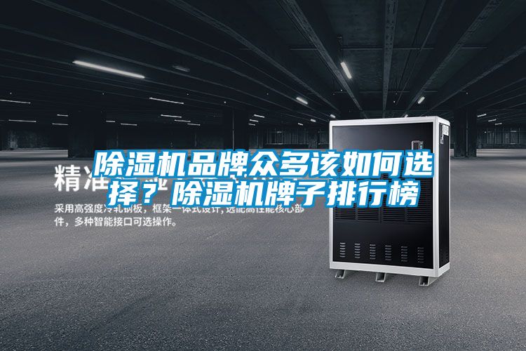 除濕機(jī)品牌眾多該如何選擇?除濕機(jī)牌子排行榜