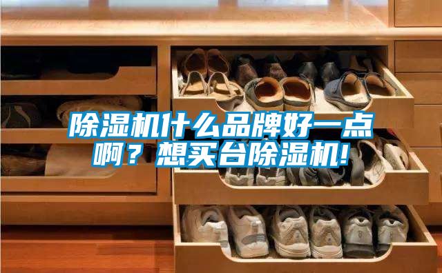 除濕機(jī)什么品牌好一點(diǎn)啊？想買臺(tái)除濕機(jī)!