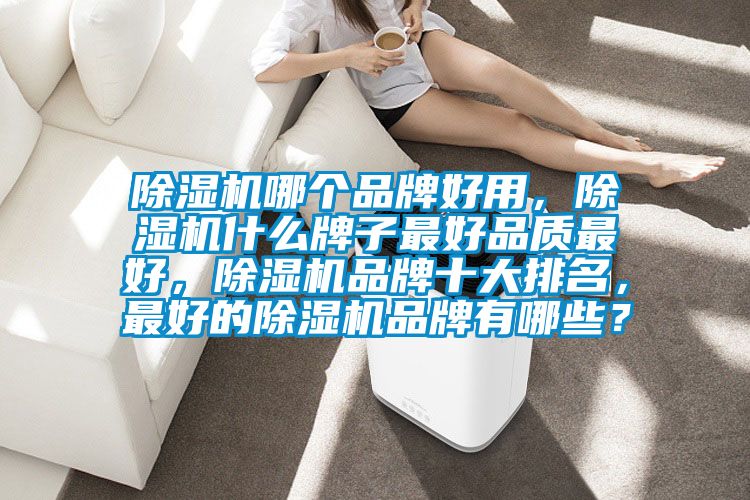 除濕機(jī)哪個品牌好用,除濕機(jī)什么牌子最好品質(zhì)最好,除濕機(jī)品牌十大排名,最好的除濕機(jī)品牌有哪些?