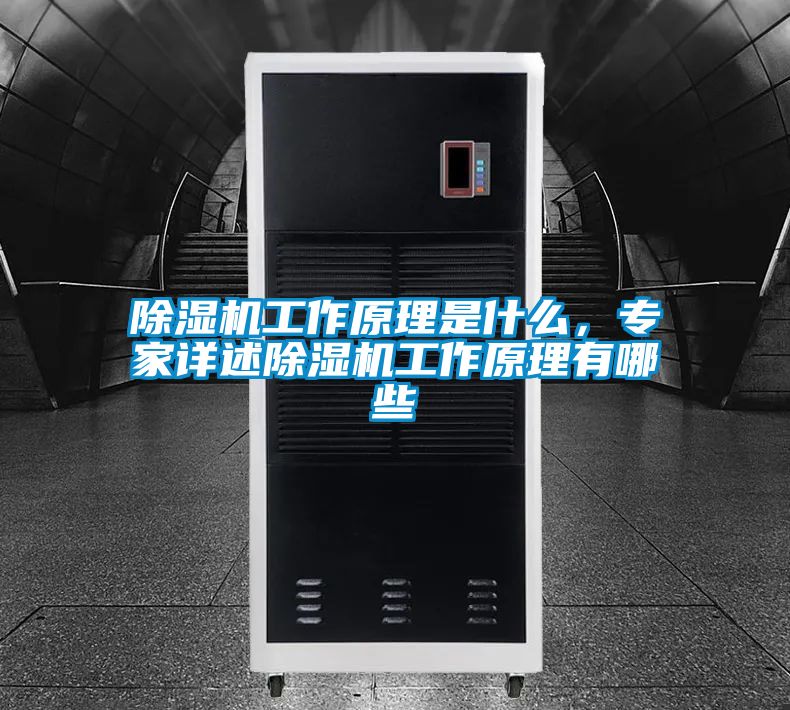 除濕機工作原理是什么，專家詳述除濕機工作原理有哪些