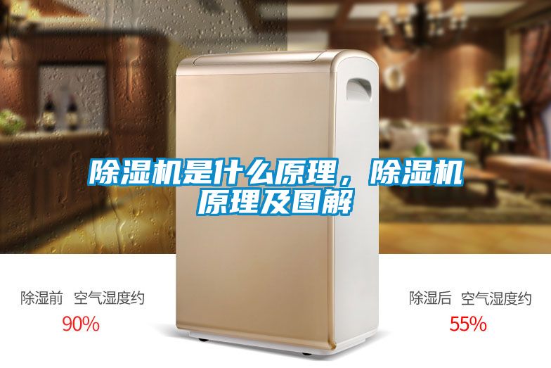 除濕機(jī)是什么原理,除濕機(jī)原理及圖解