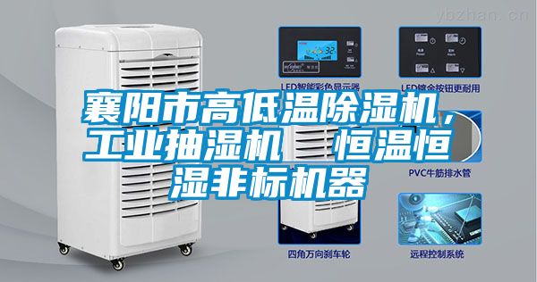 襄陽市高低溫除濕機,工業抽濕機  恒溫恒濕非標機器