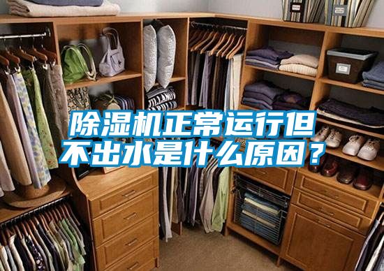 除濕機正常運行但不出水是什么原因?