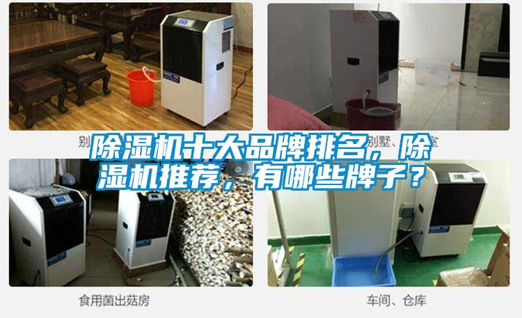 除濕機(jī)十大品牌排名，除濕機(jī)推薦，有哪些牌子？