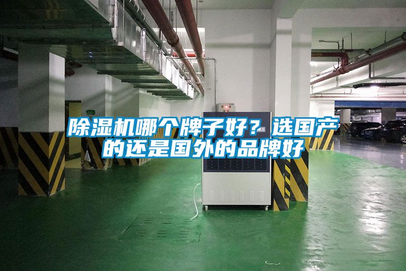 除濕機哪個牌子好？選國產的還是國外的品牌好