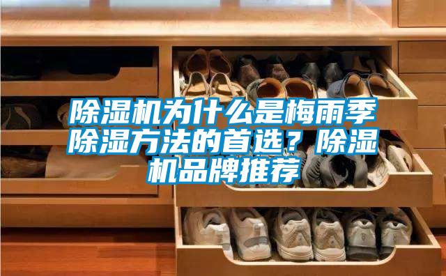 除濕機(jī)為什么是梅雨季除濕方法的首選？除濕機(jī)品牌推薦