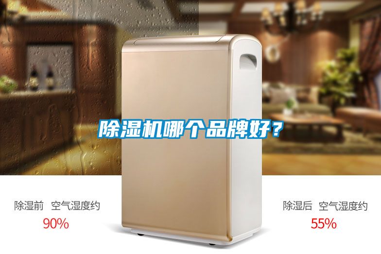 除濕機哪個品牌好?
