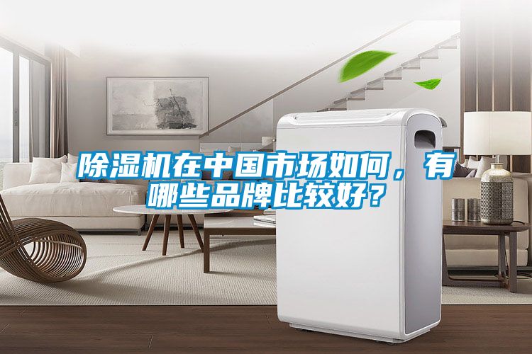除濕機在中國市場如何，有哪些品牌比較好？