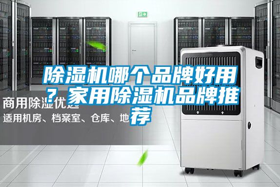 除濕機(jī)哪個品牌好用?家用除濕機(jī)品牌推薦