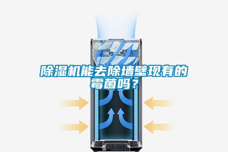 除濕機能去除墻壁現有的霉菌嗎？