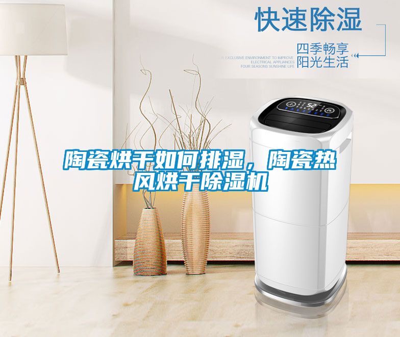 陶瓷烘干如何排濕，陶瓷熱風烘干除濕機
