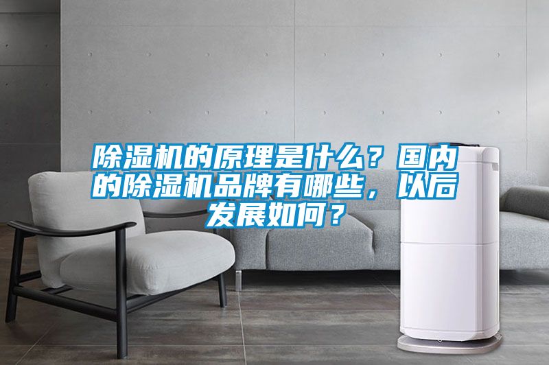 除濕機的原理是什么?國內的除濕機品牌有哪些,以后發展如何?