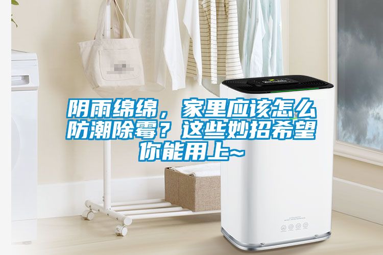 陰雨綿綿,家里應(yīng)該怎么防潮除霉?這些妙招希望你能用上~