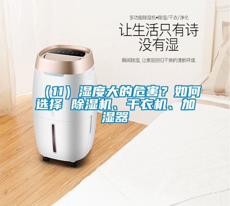 （11）濕度大的危害？如何選擇 除濕機、干衣機、加濕器